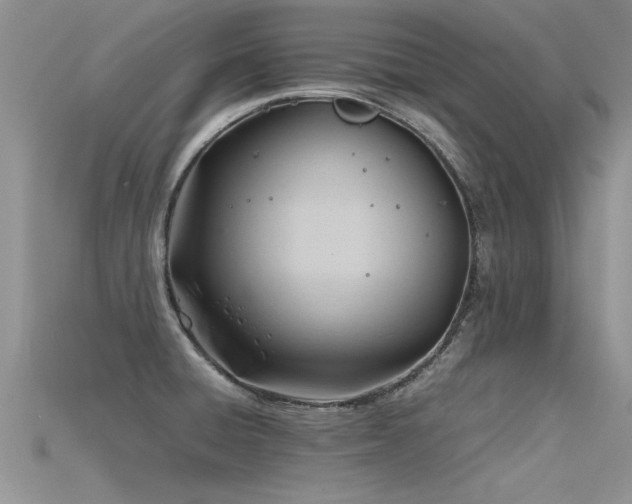 X0000115761428200911131146