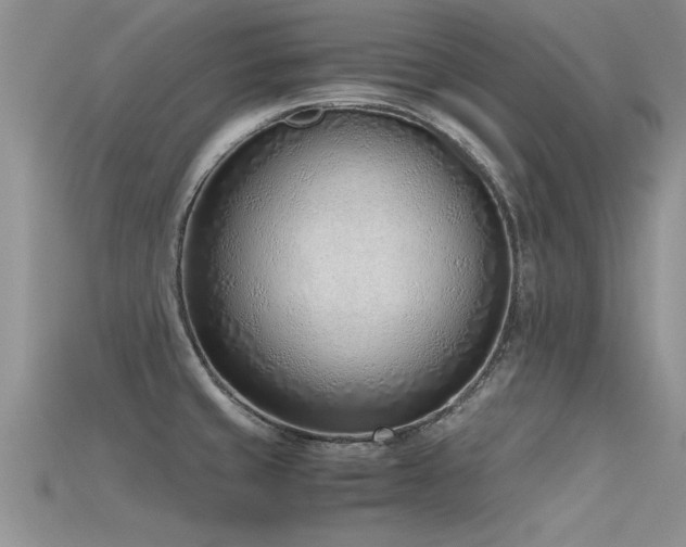 X0000115761429200911131146