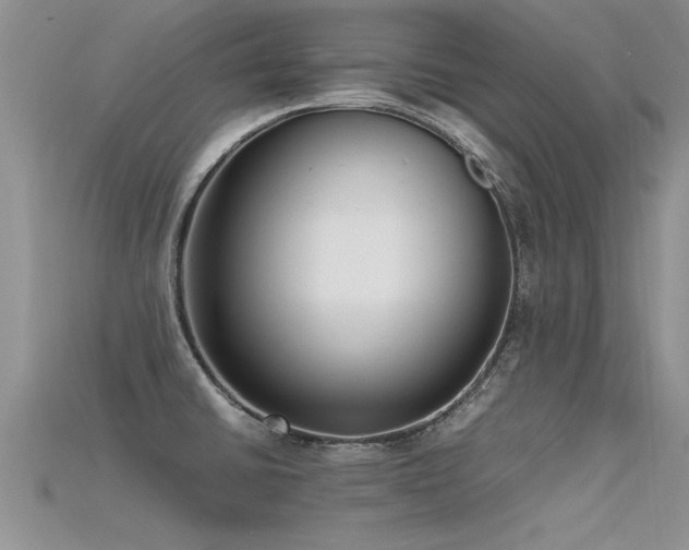 X0000115761430200911131146