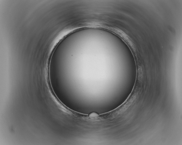 X0000115761432200911131146