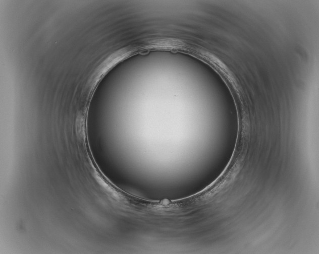 X0000115761433200911131146