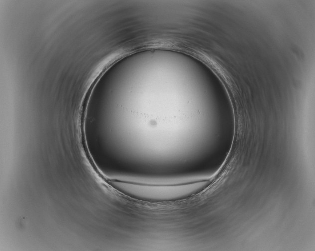 X0000115761434200911131146