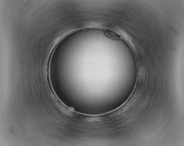X0000115761435200911131146