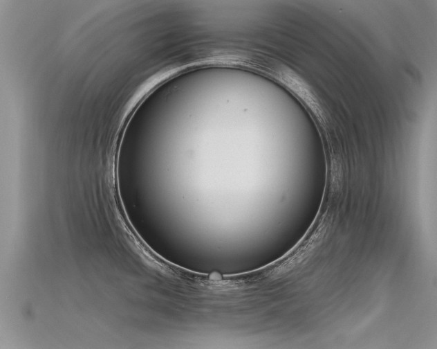 X0000115761436200911131146