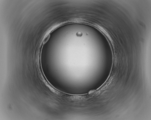 X0000115761437200911131146