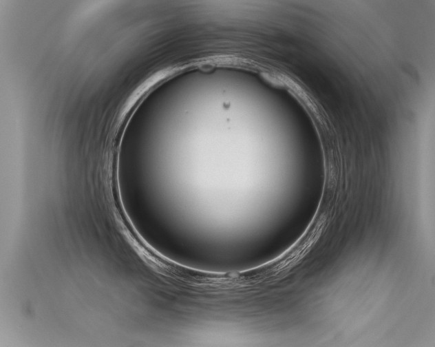 X0000115761438200911131146