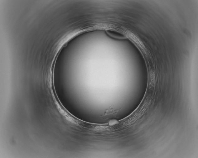 X0000115761439200911131146