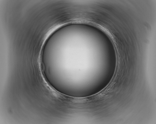 X0000115761440200911131146