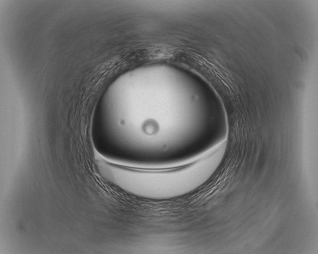 X0000115761441200911131146