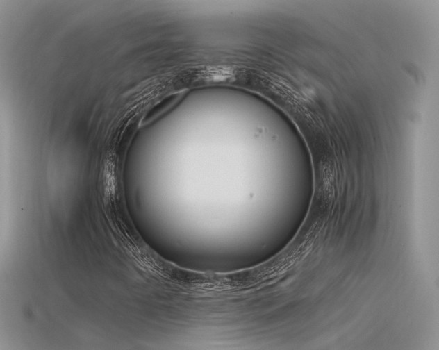 X0000115761442200911131146