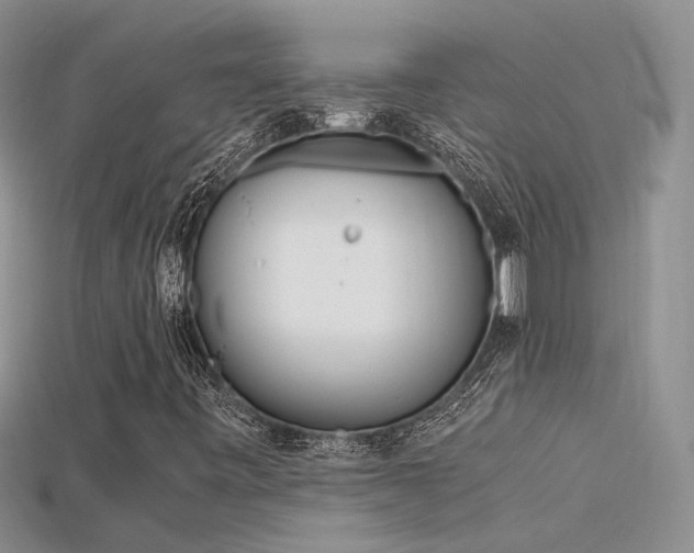 X0000115761443200911131146