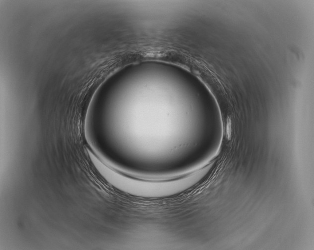 X0000115761444200911131146