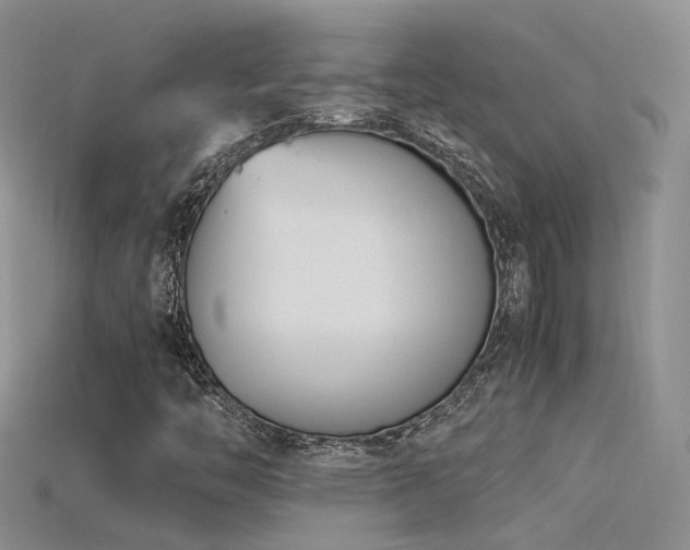 X0000115761446200911131146