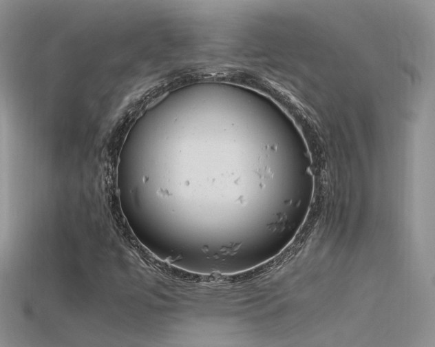 X0000115761447200911131146