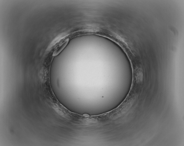 X0000115761448200911131146