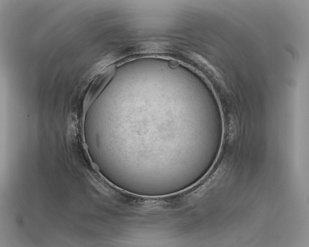 X0000115761449200911131146