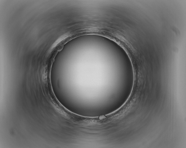 X0000115761450200911131146