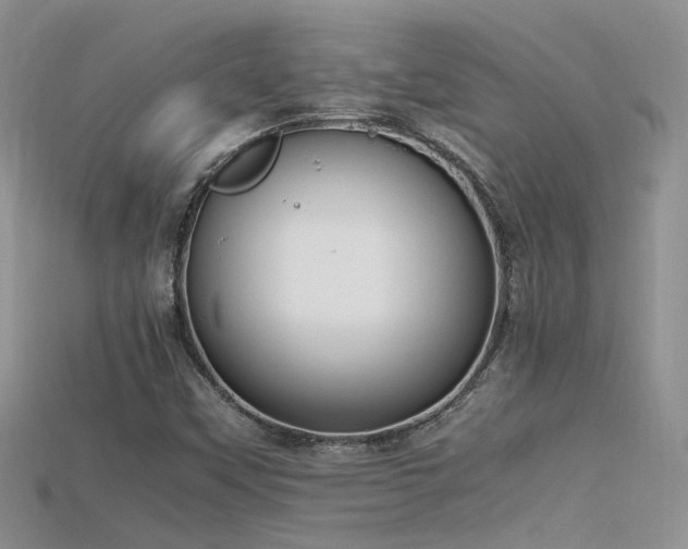 X0000115761451200911131146