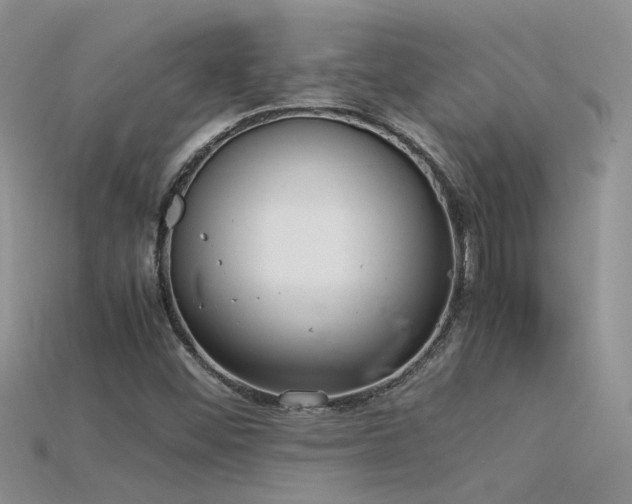 X0000115761452200911131146
