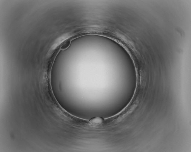 X0000115761453200911131146