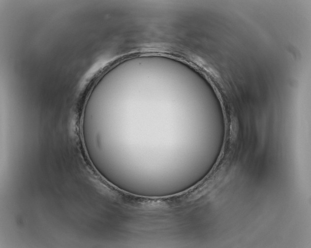 X0000115761454200911131146