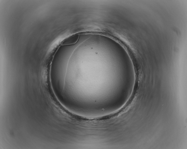 X0000115761455200911131146