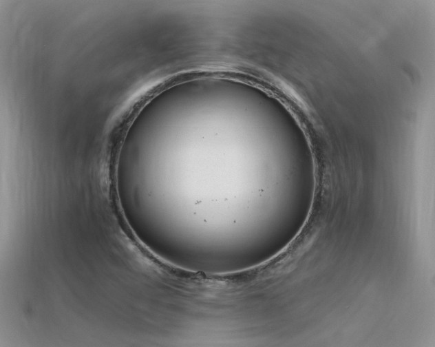 X0000115761456200911131145