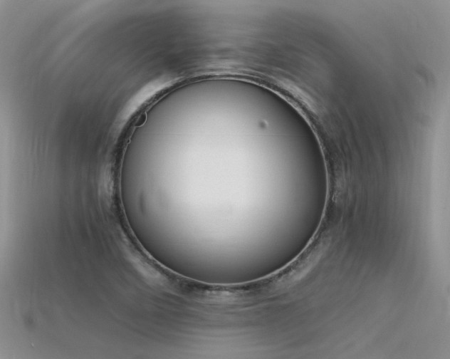 X0000115761458200911131145