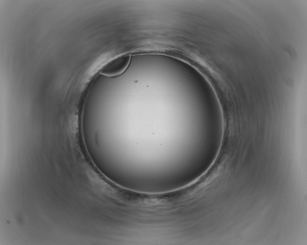 X0000115761459200911131145