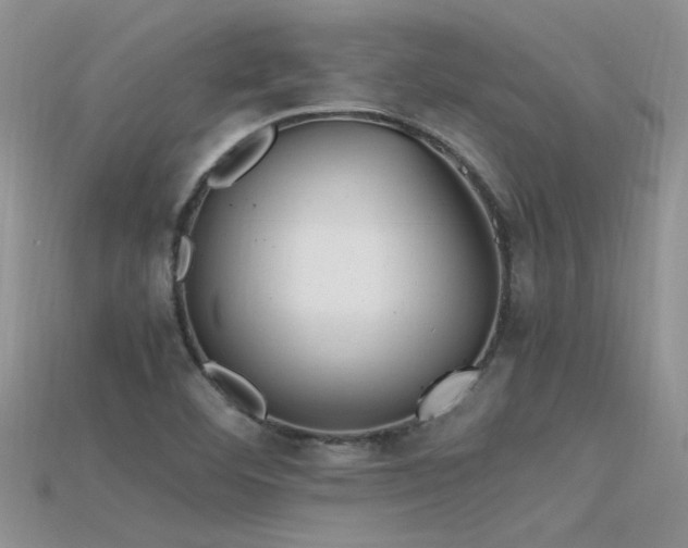 X0000115761460200911131145