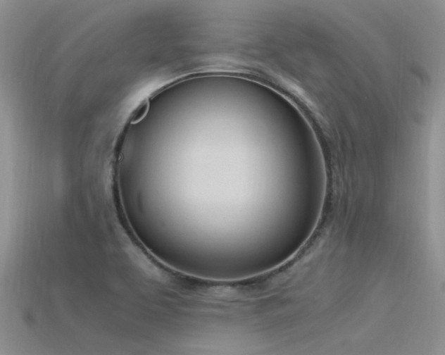 X0000115761463200911131145