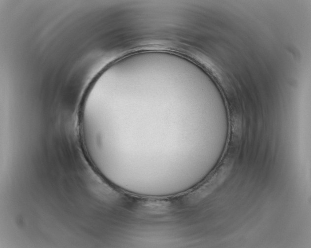 X0000115761466200911131145