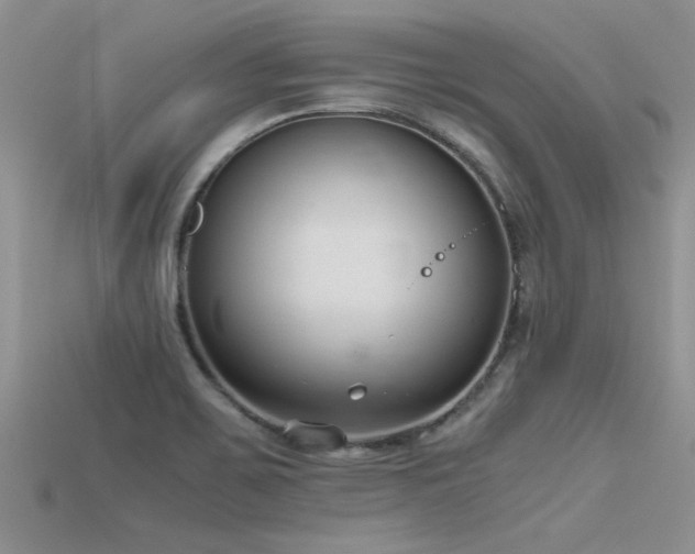 X0000115761467200911131145