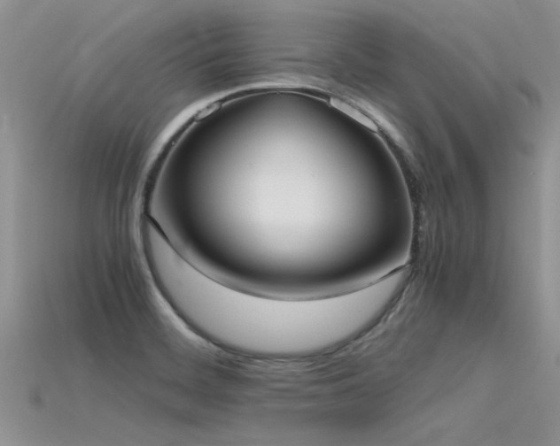 X0000115761468200911131145