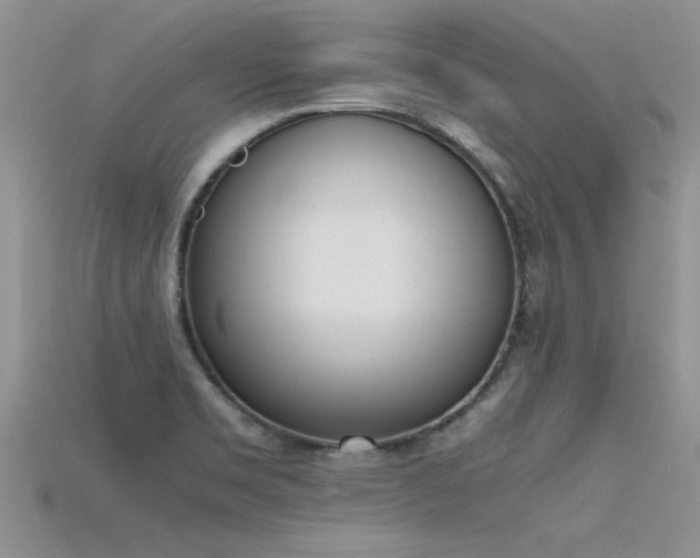 X0000115761469200911131145