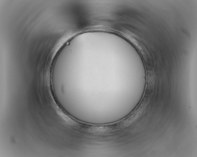 X0000115761474200911131145