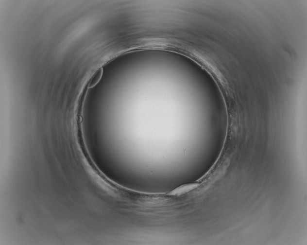 X0000115761475200911131145
