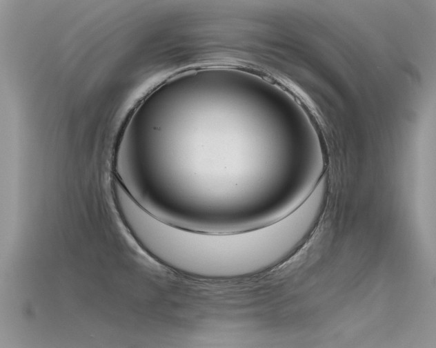 X0000115761477200911131145