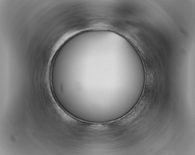 X0000115761478200911131145