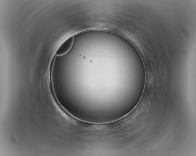 X0000115761479200911131145
