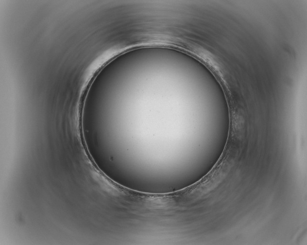 X0000115761480200911131145