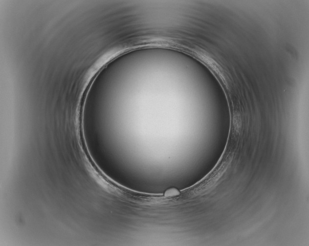X0000115761482200911131145