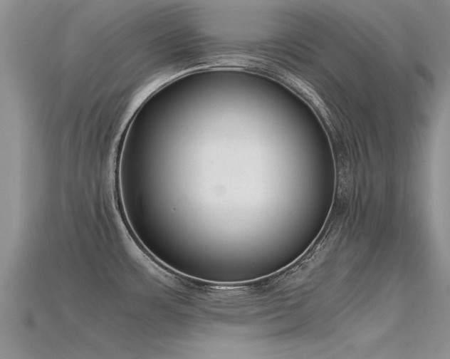 X0000115761483200911131145
