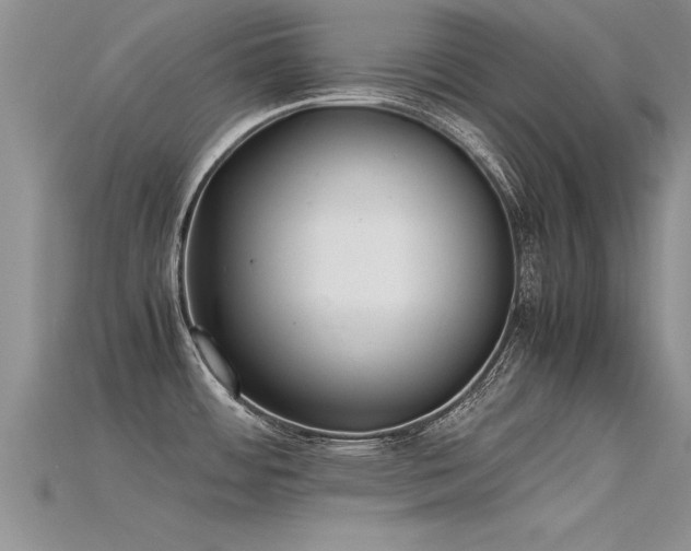 X0000115761484200911131145