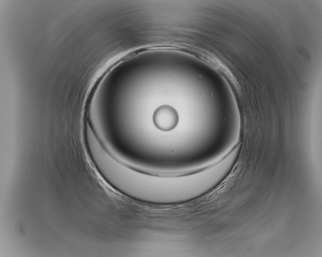 X0000115761485200911131145
