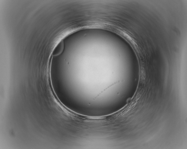 X0000115761487200911131145