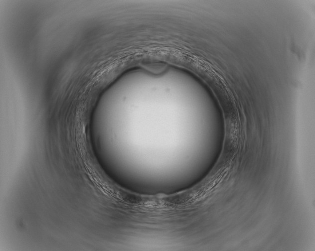 X0000115761489200911131144