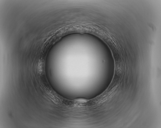 X0000115761490200911131144