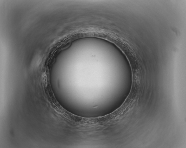 X0000115761493200911131145
