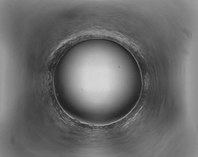 X0000115761494200911131145